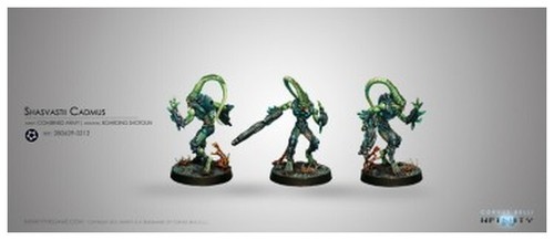 Infinity shasvastii cadmus - shasvastii,